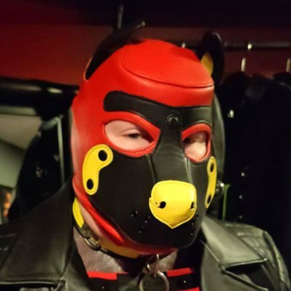 Sparky. Dog. Kinkster. Gimp. Drone. More.