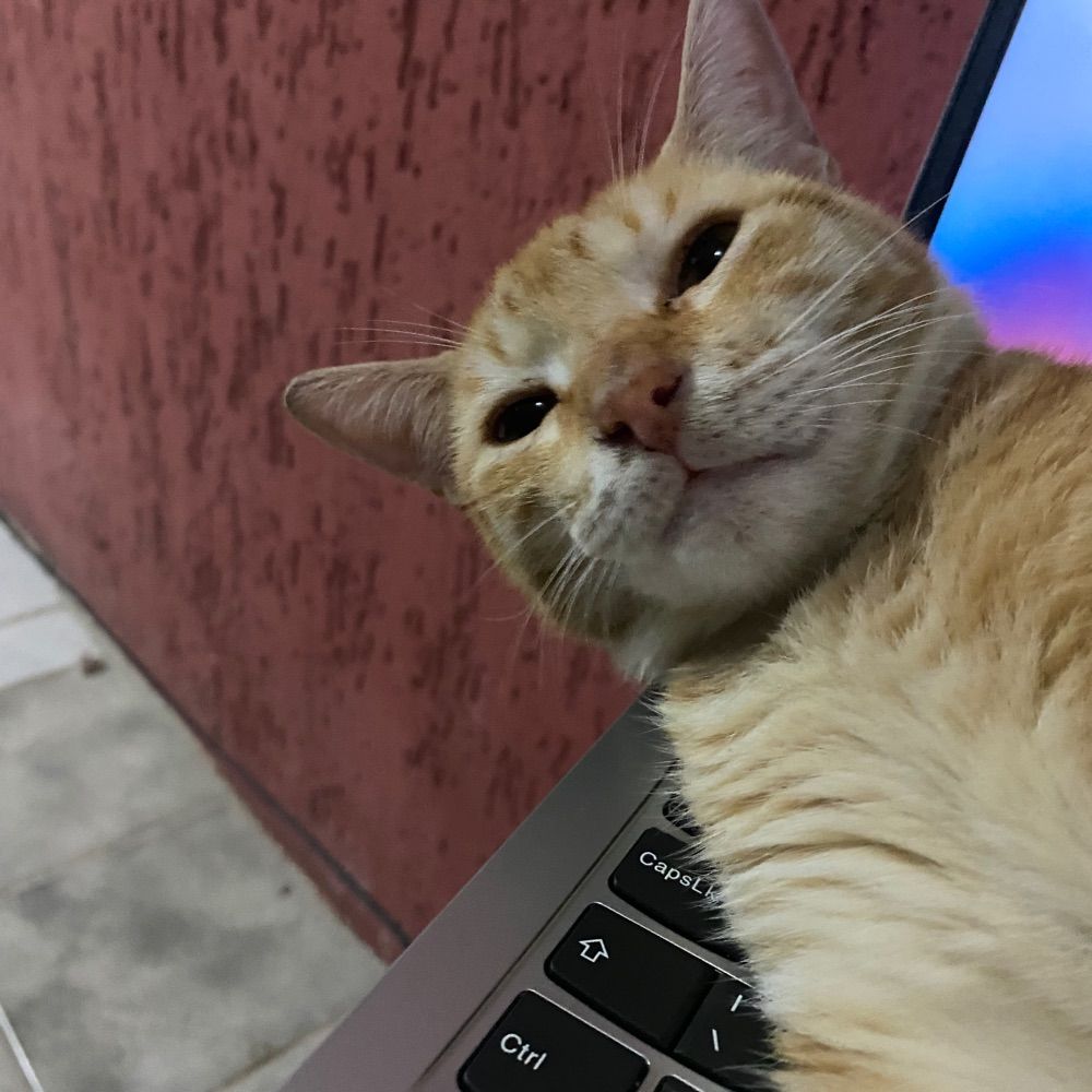popoly quer sumir 