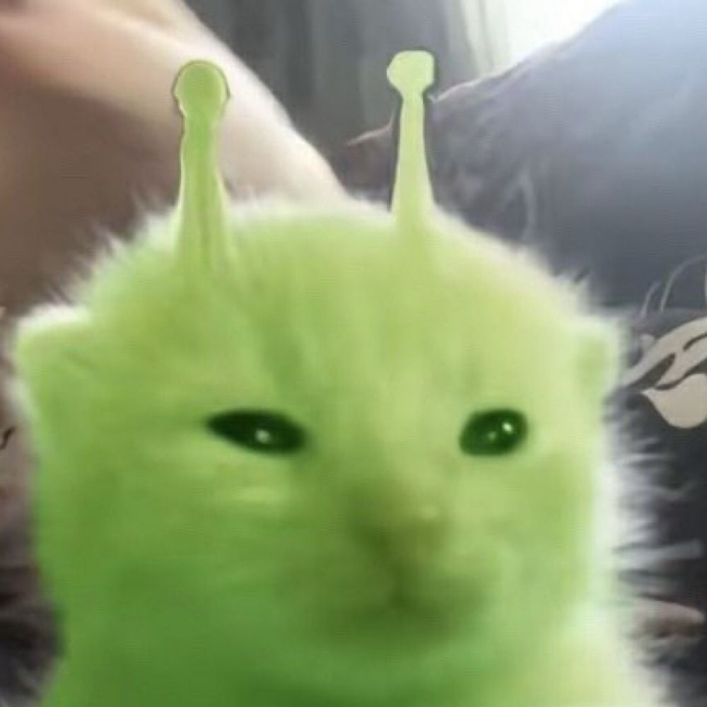 LiL YEETONG