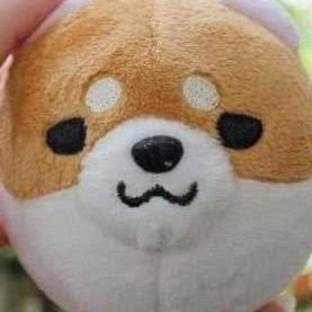 Chain l ชิบะเชี่ยนแอคจับฉ่าย