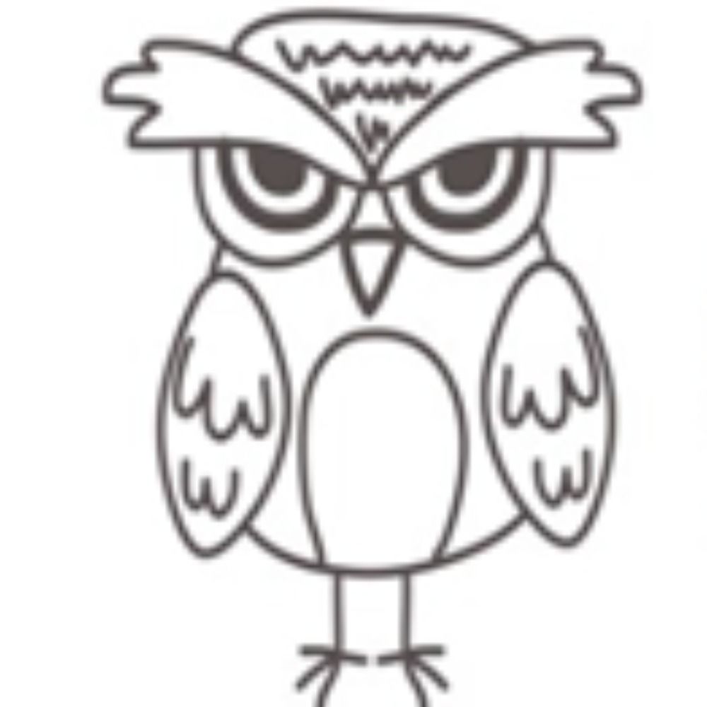theowldidit