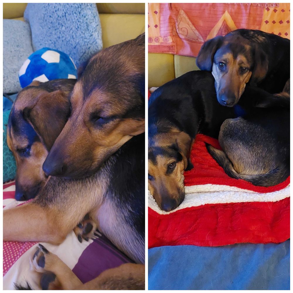 MiaMila