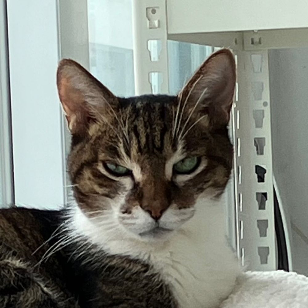 이지영