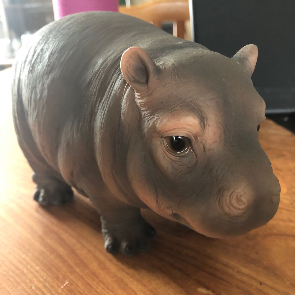げそ