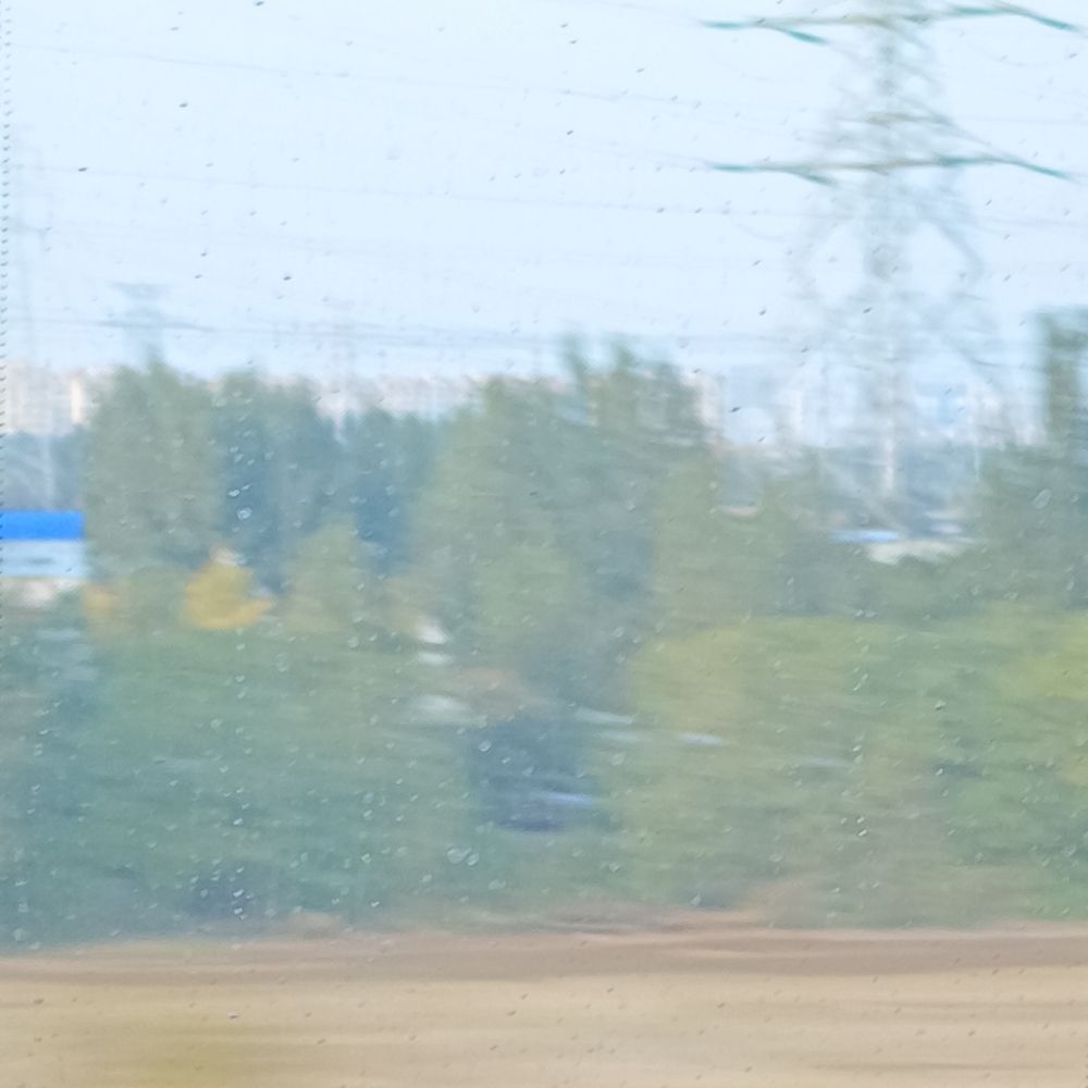 豆