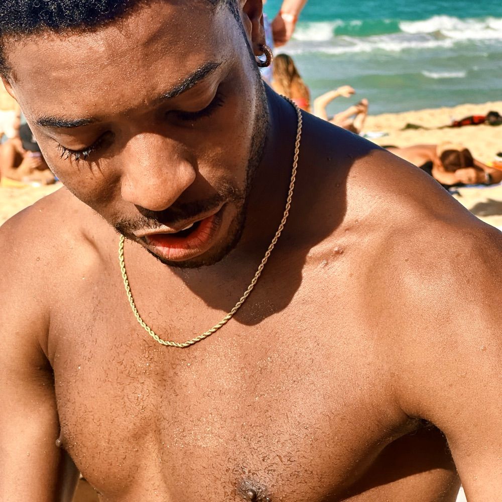 dolphin // dior j. stephens, phd