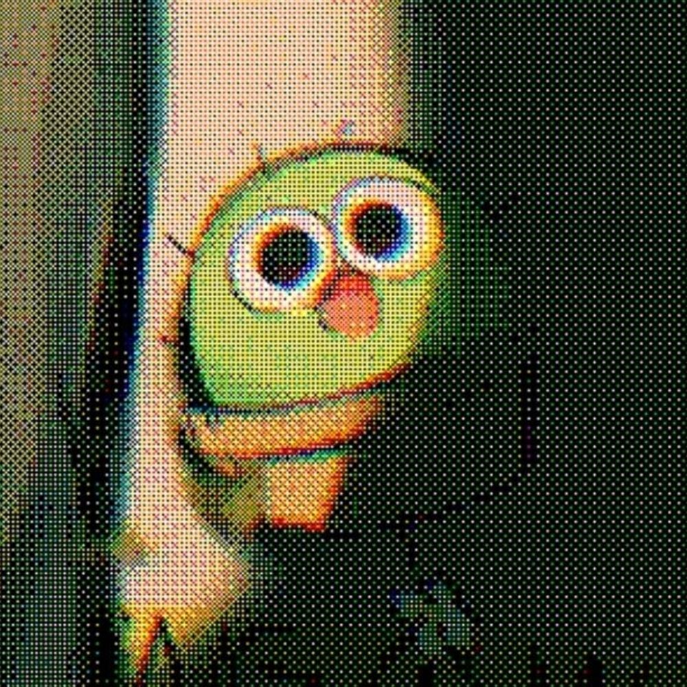 わたぬき