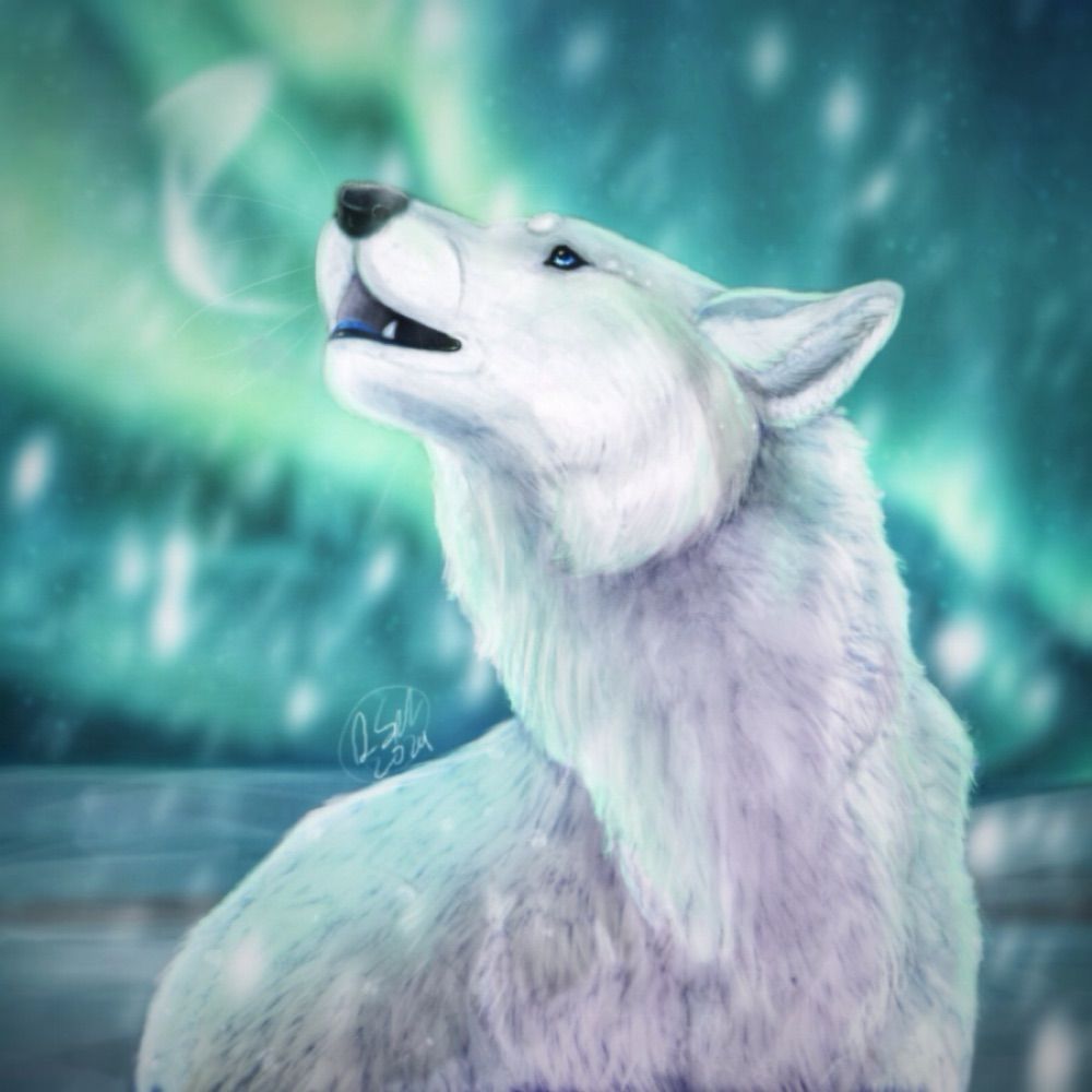 Lunora