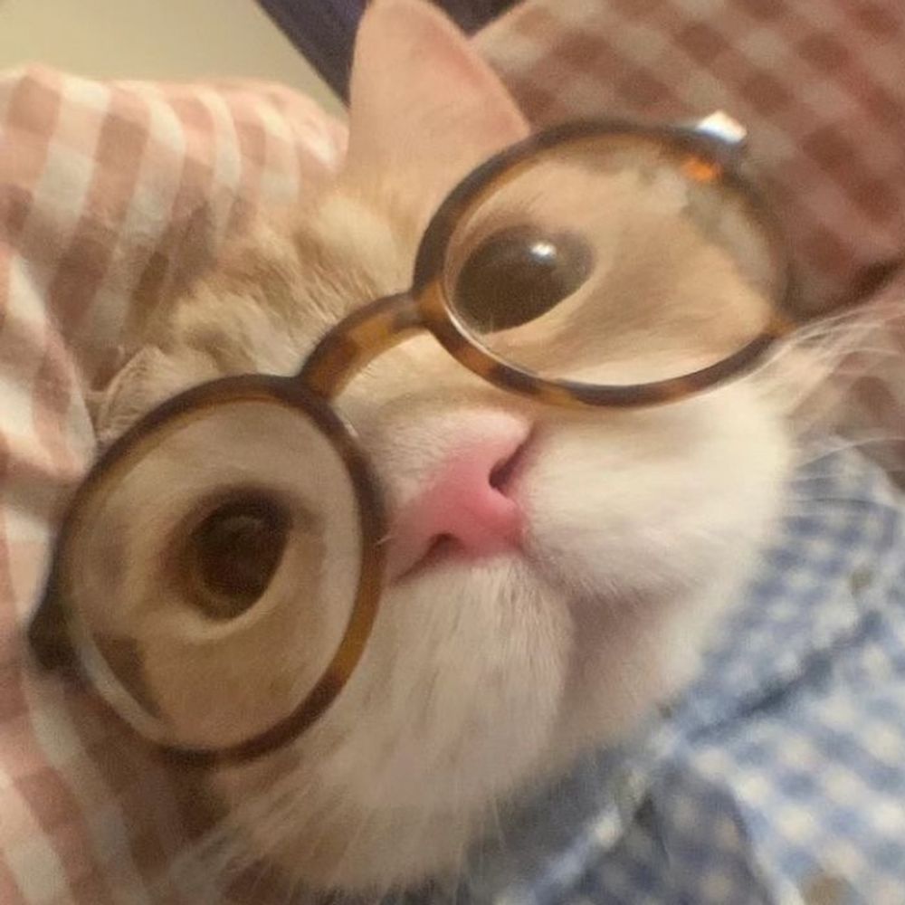 빵이