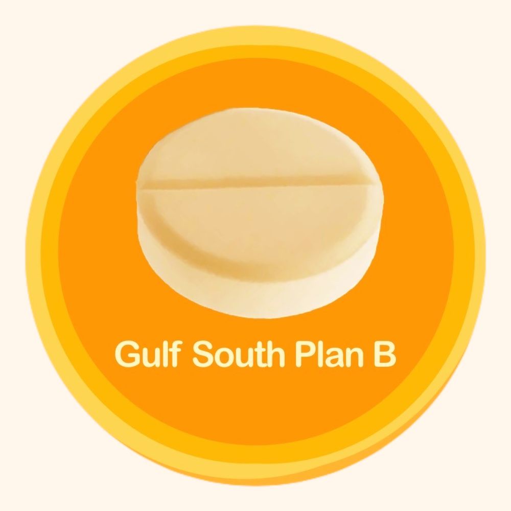 Gulf South Plan B