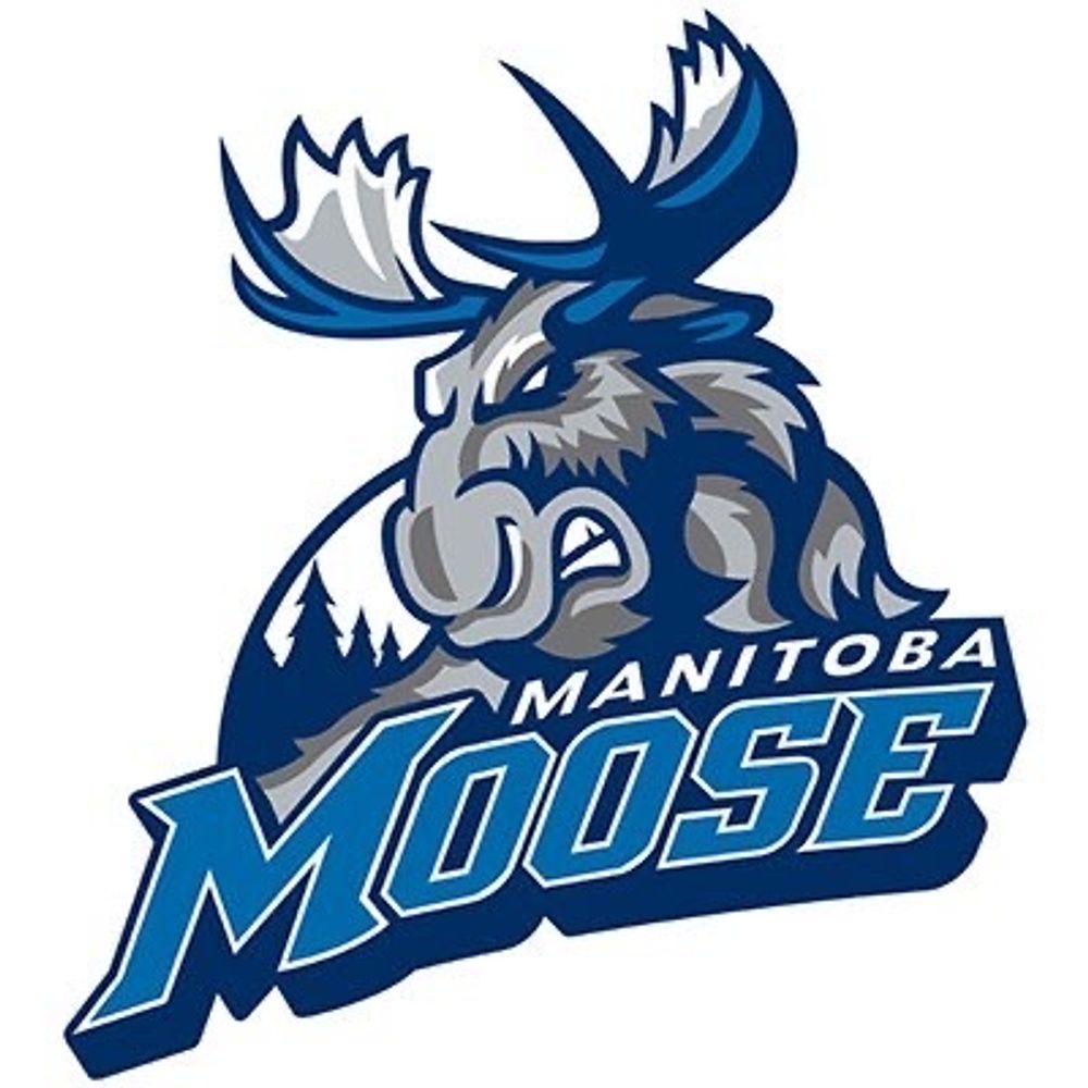 Manitoba Moose