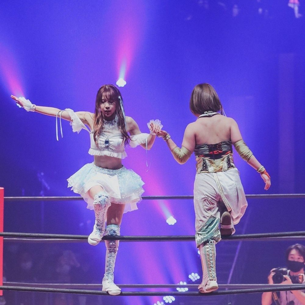 Storybook TJPW