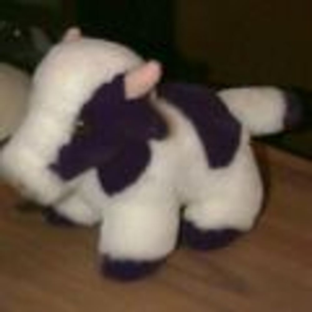🐮 Izden D Cow 🐄