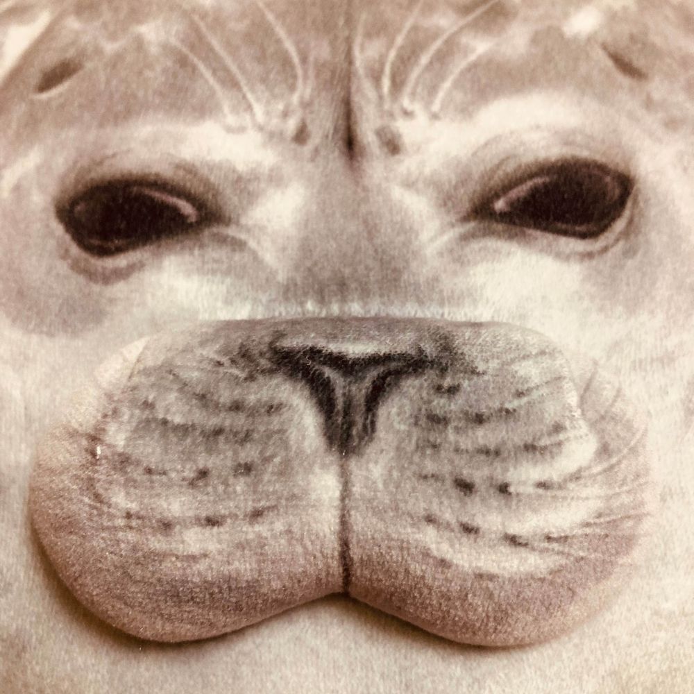 眠