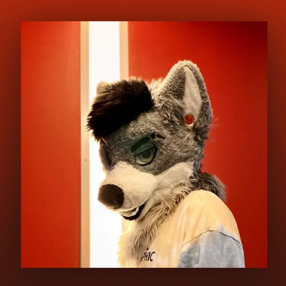 ❤️‍🔥//arizona 天使 🛸