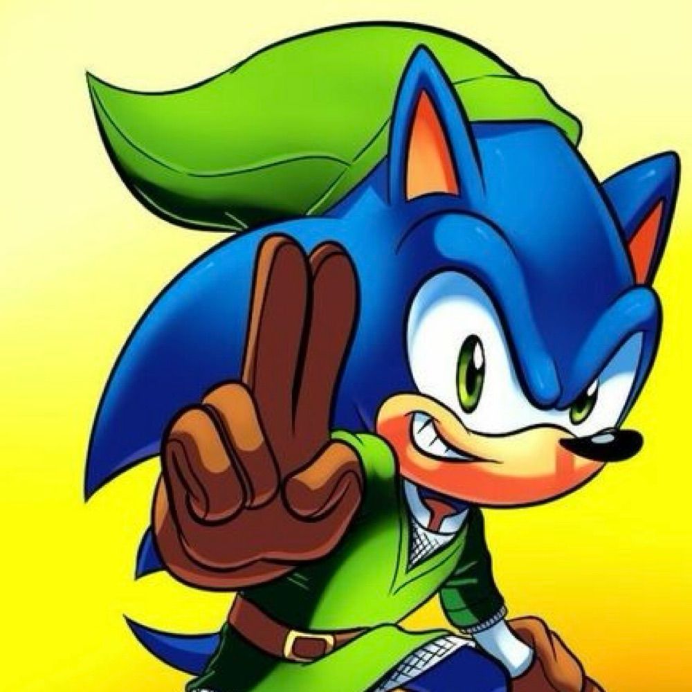 Solink The Hedgehog