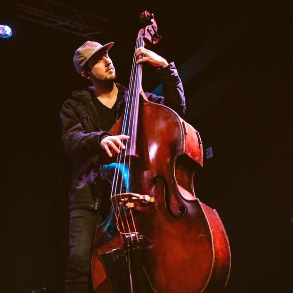 violin bug