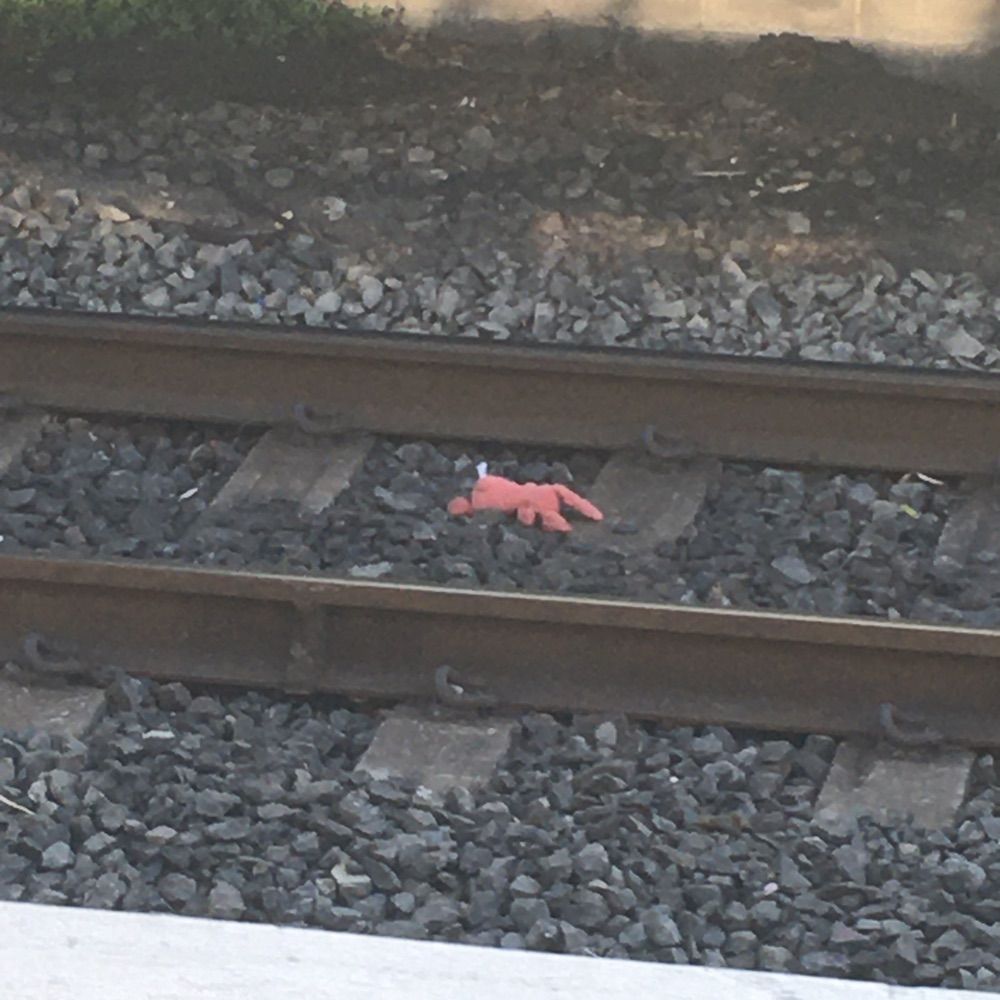 🍉AnarchisticGhostBitch🍓
