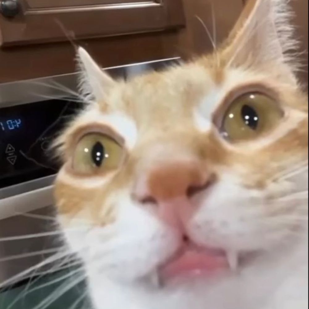 eegch