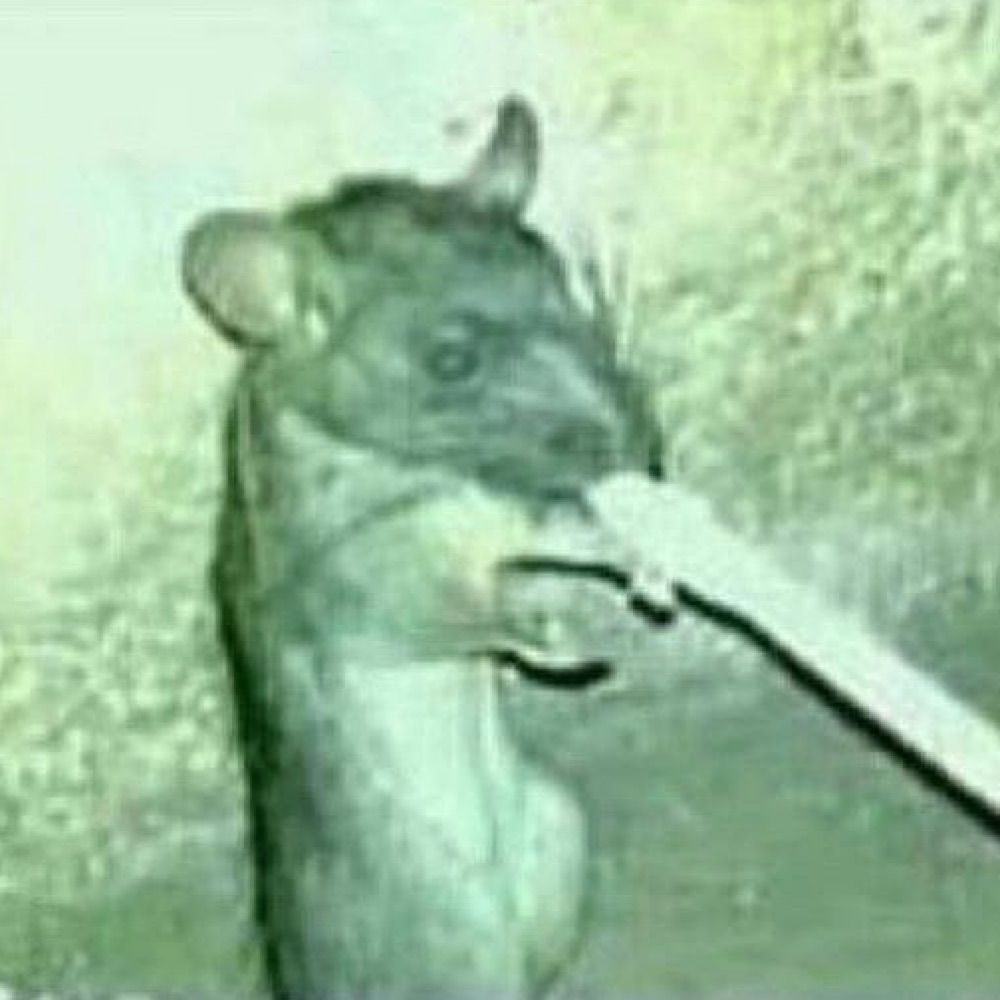 Chanarat (Rat)