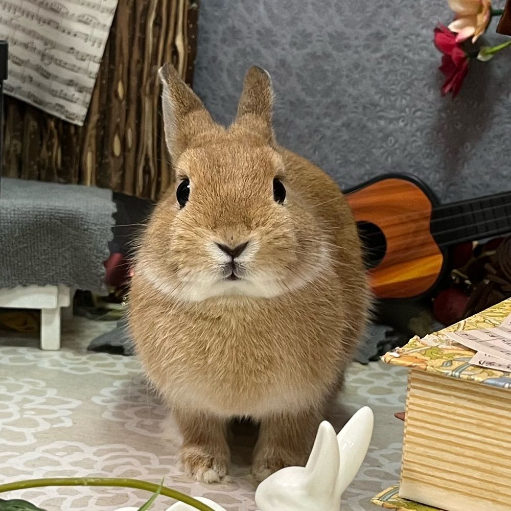ざと