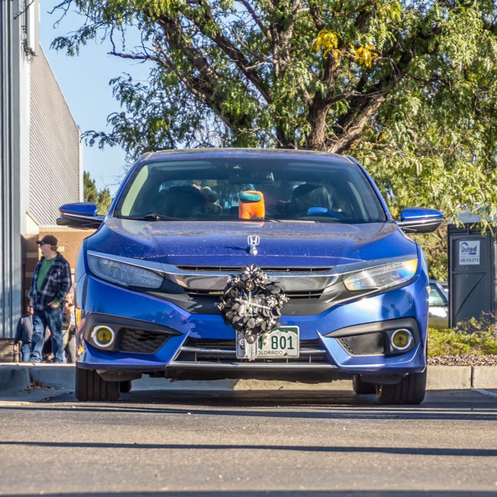 ylophoto.bsky.social