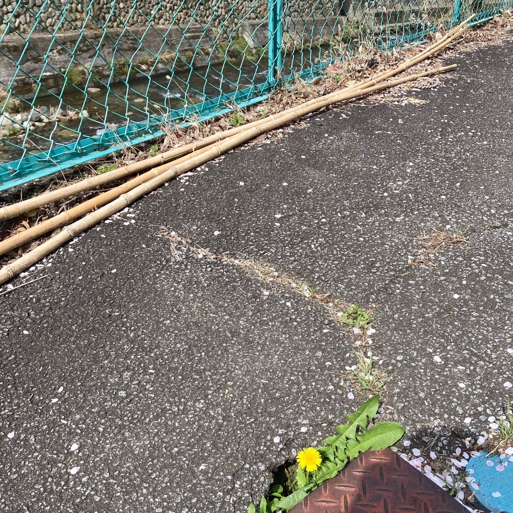 竹宅