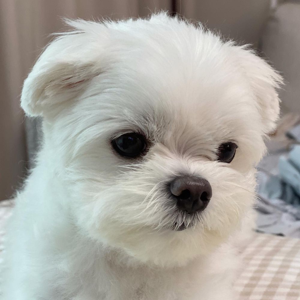 아라⁷