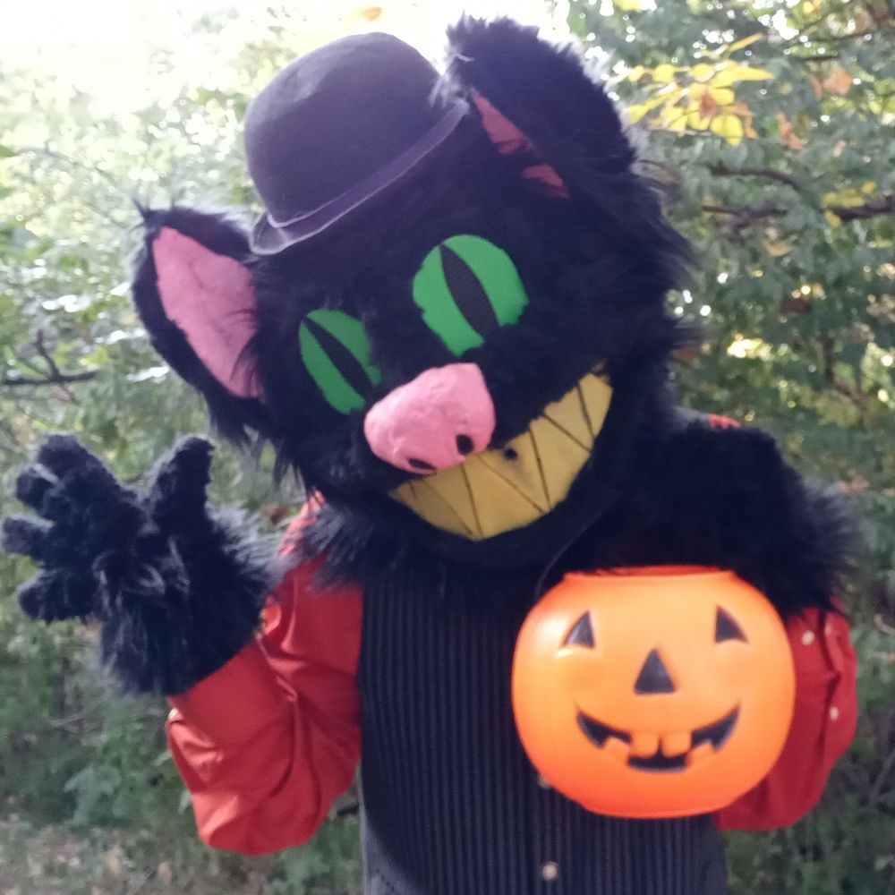 CandyJackCat