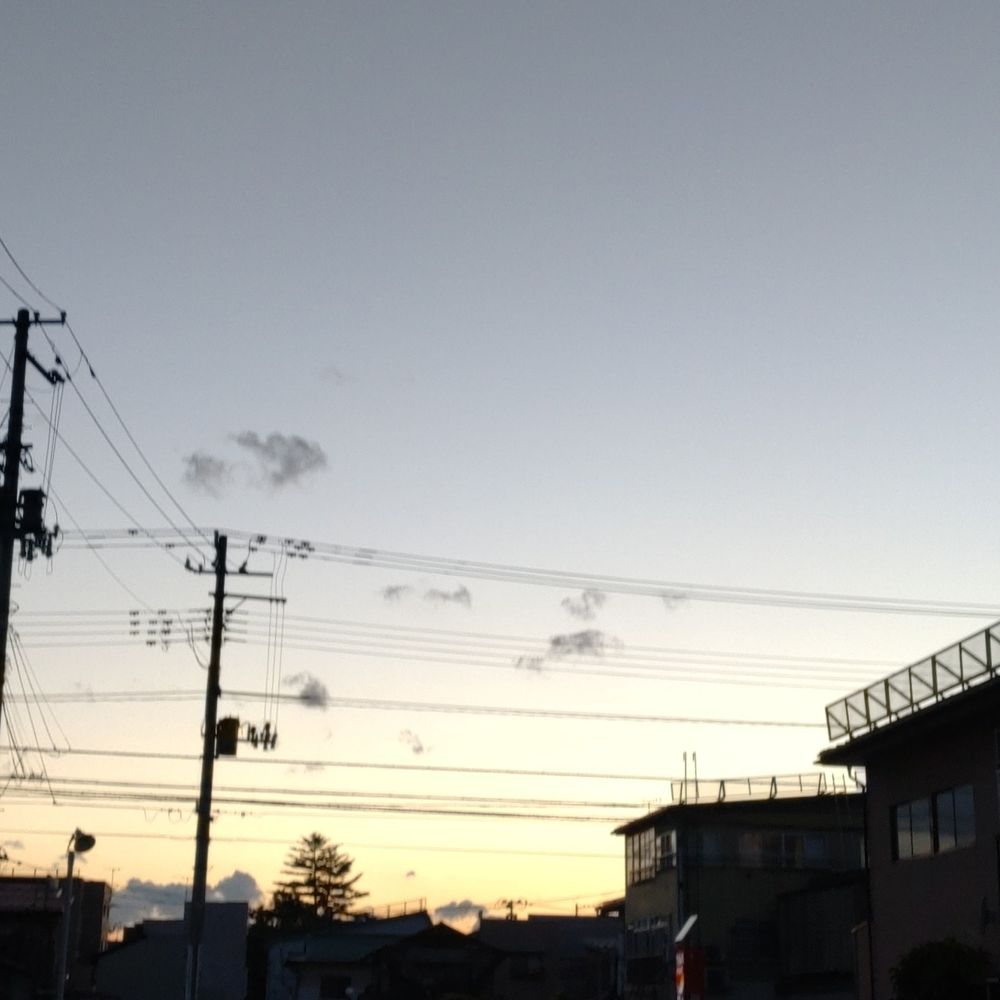 サヤ
