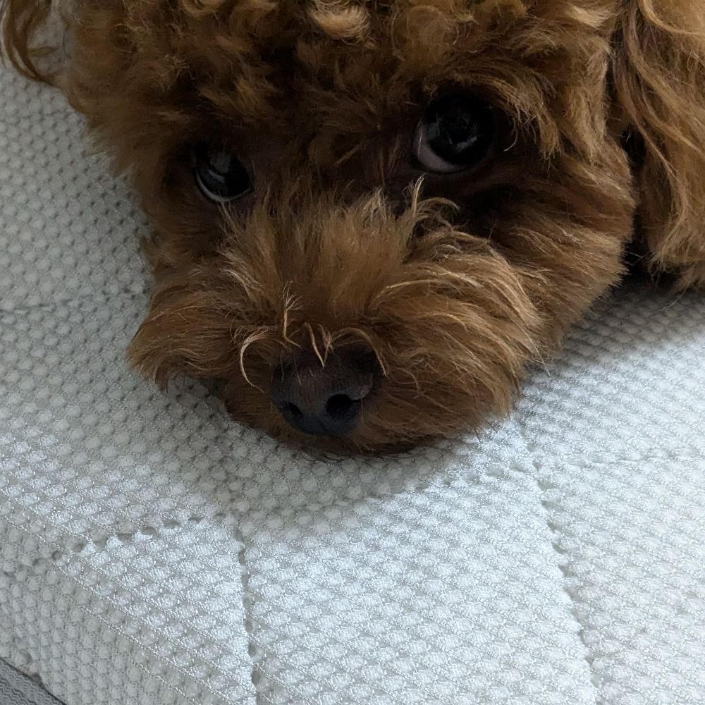 ユウト