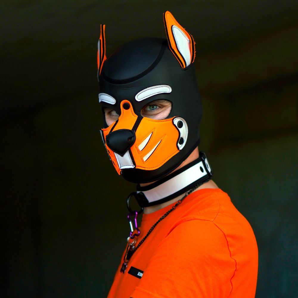 Bax