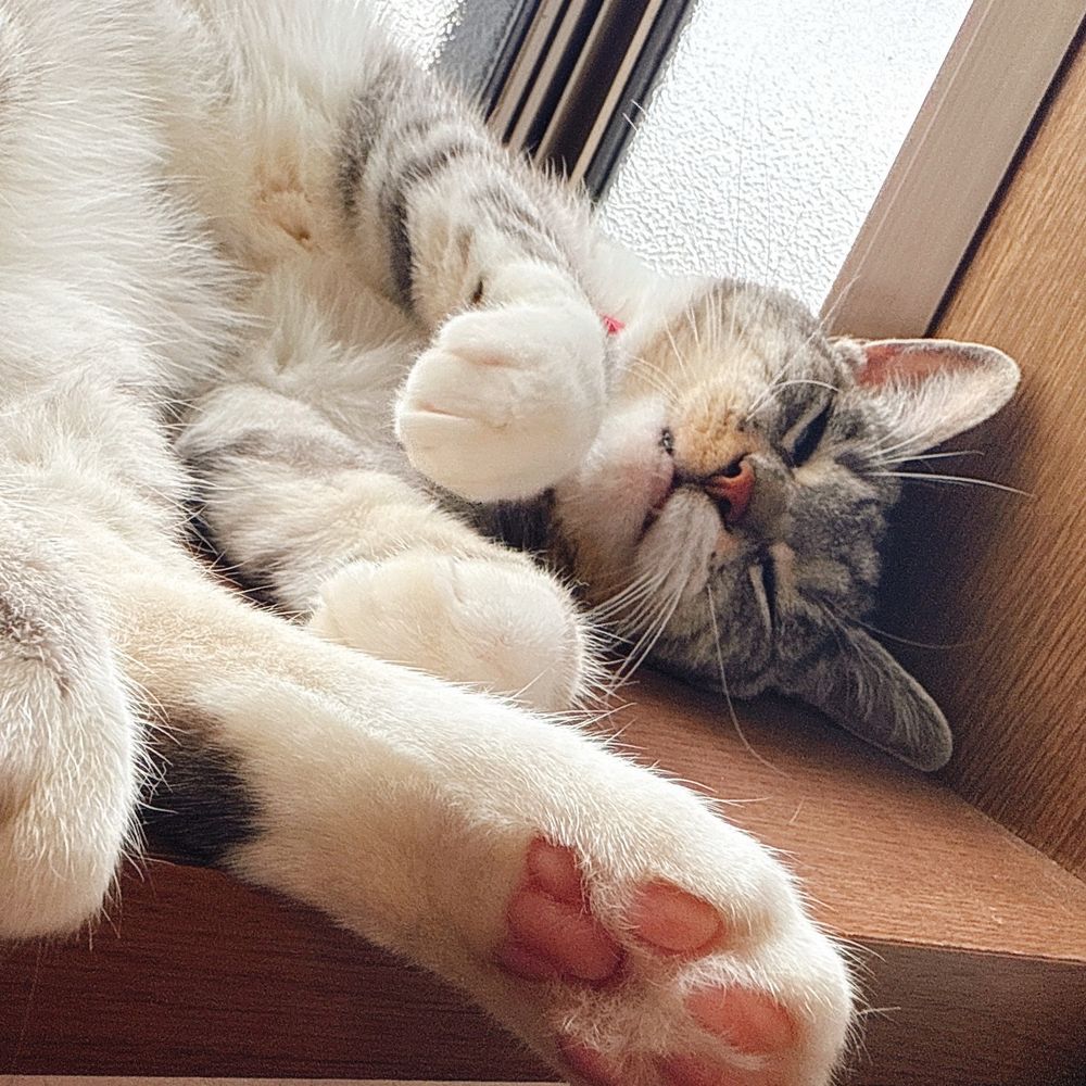 くるみん