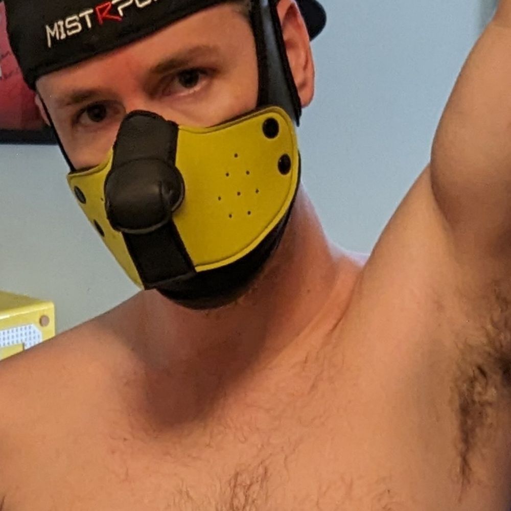 Pup Ranger