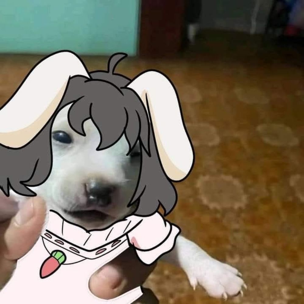 karlkore