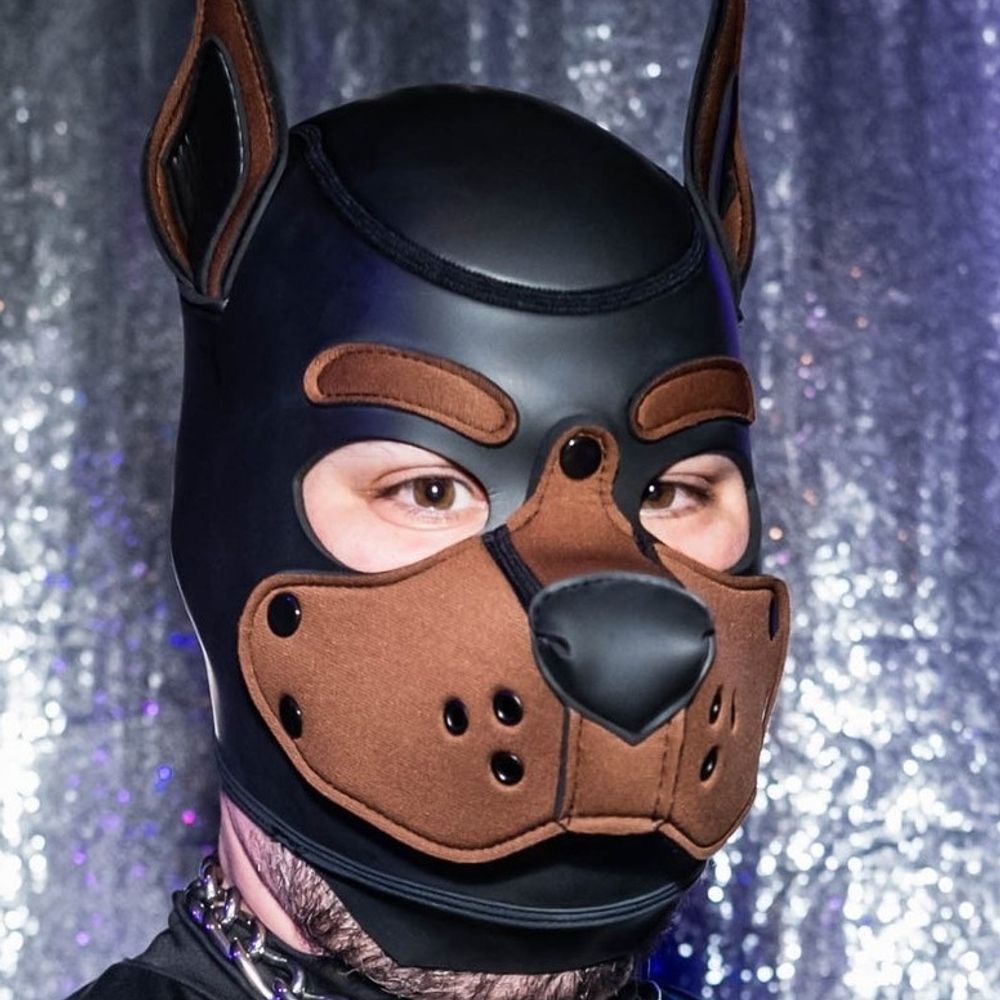 Pup Dozer