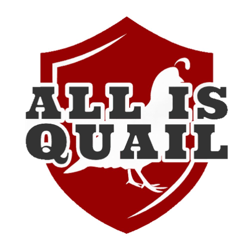 All is Quail Soccer