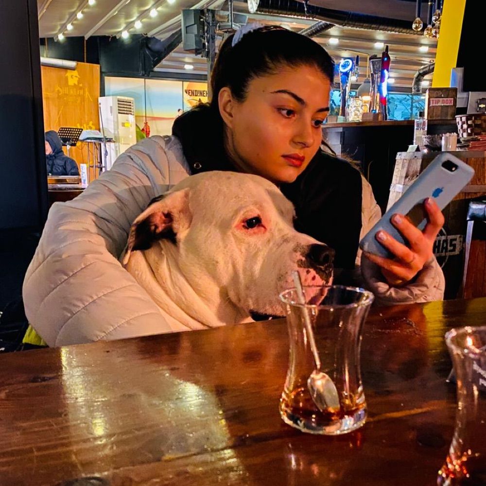 AcelyaAtalay