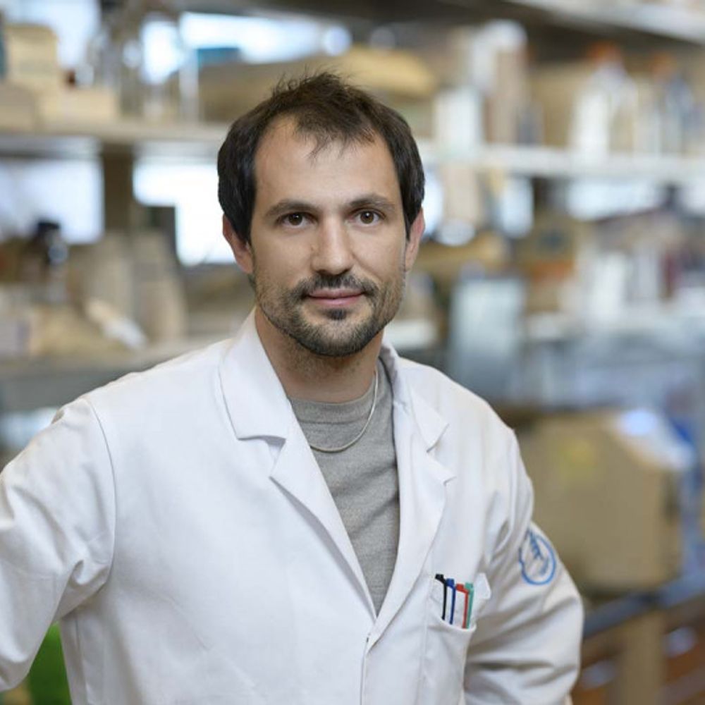 Riccardo Mezzadra
