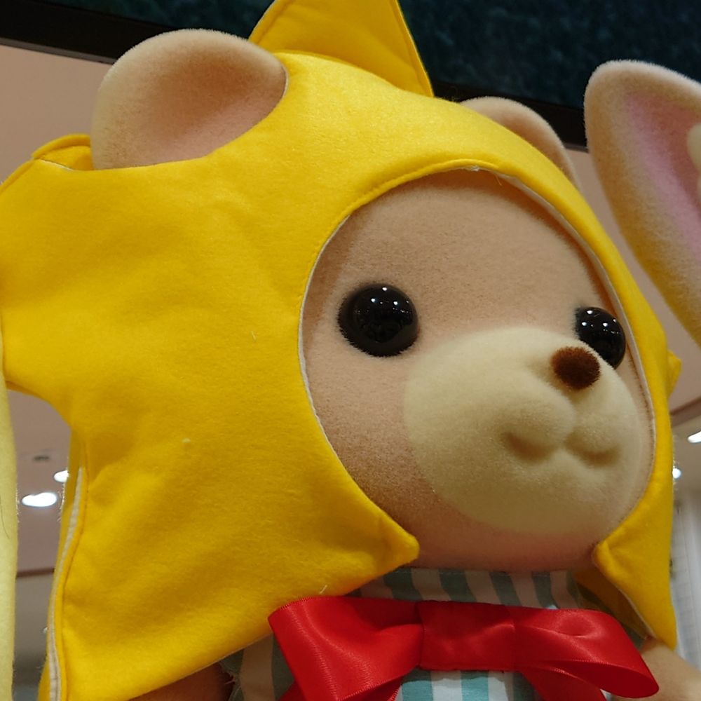 せや