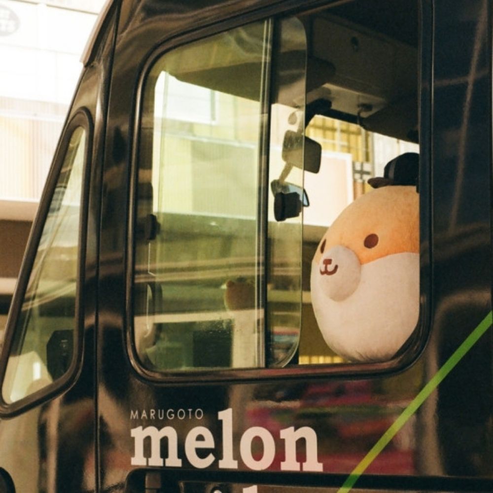 폐차방지턱