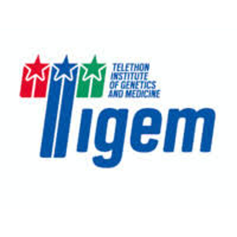 Tigem
