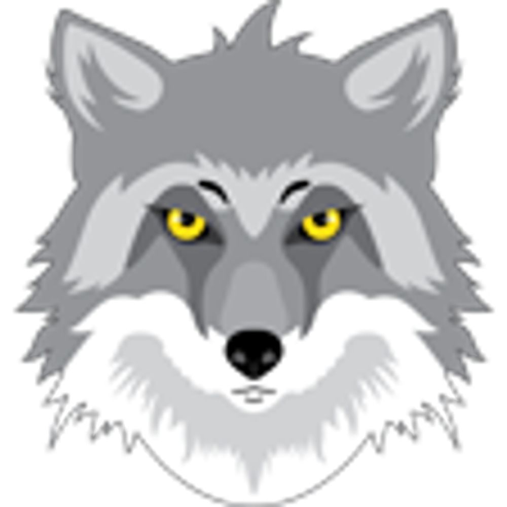 Silverfoxx350