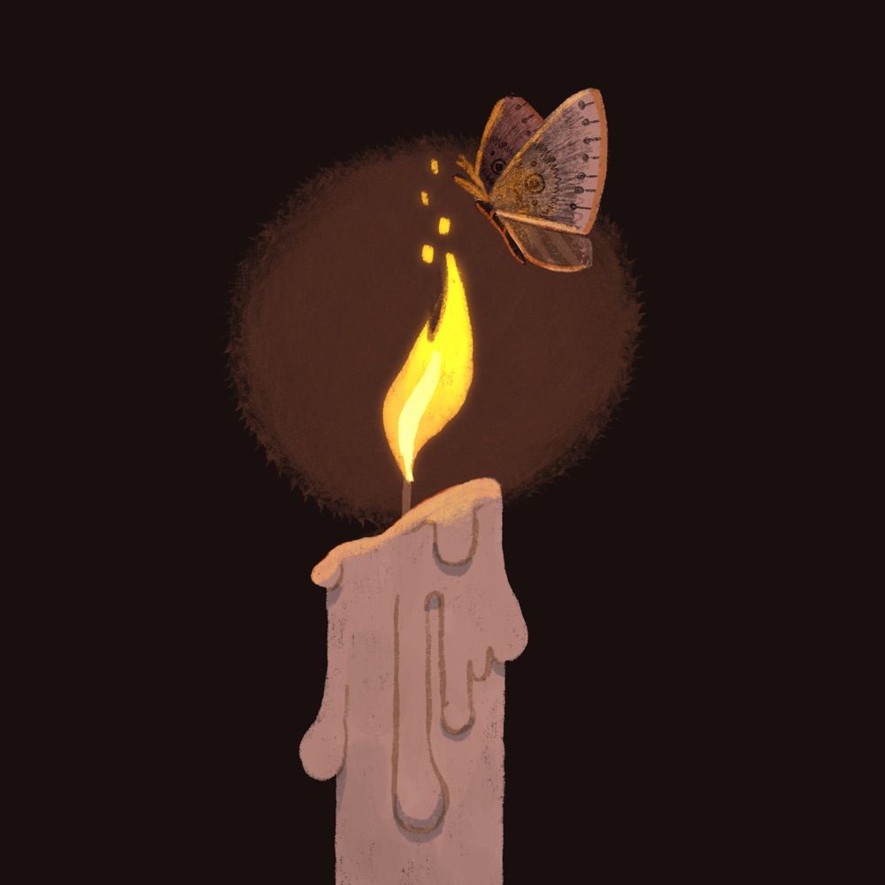 Moth & Flame
