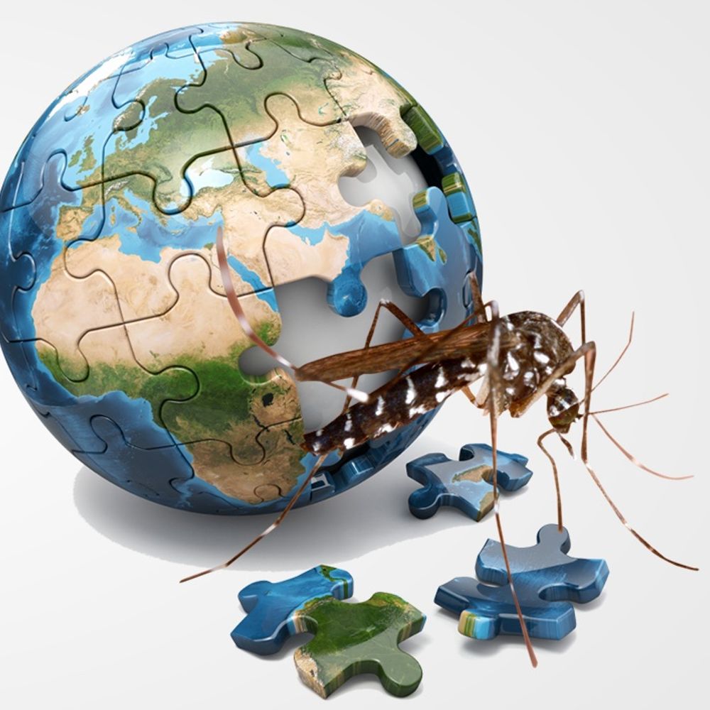Dengue endgame summit