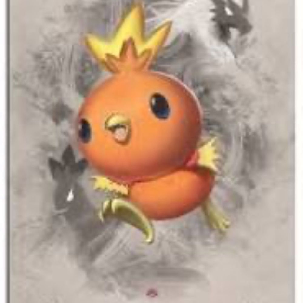 Dazzling Torchic