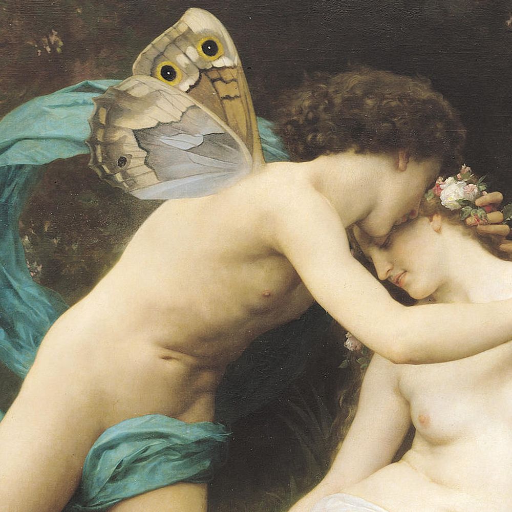 Muse Solace