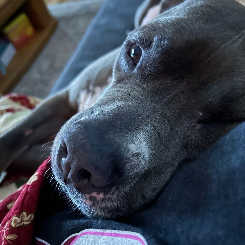 Gina