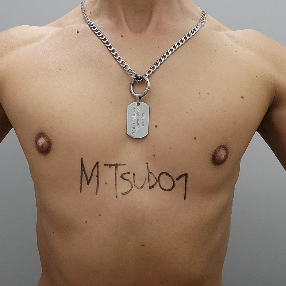 MasterTaurussub01