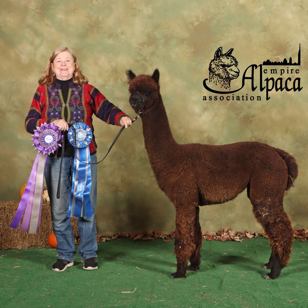 Claddagh Farm LLC